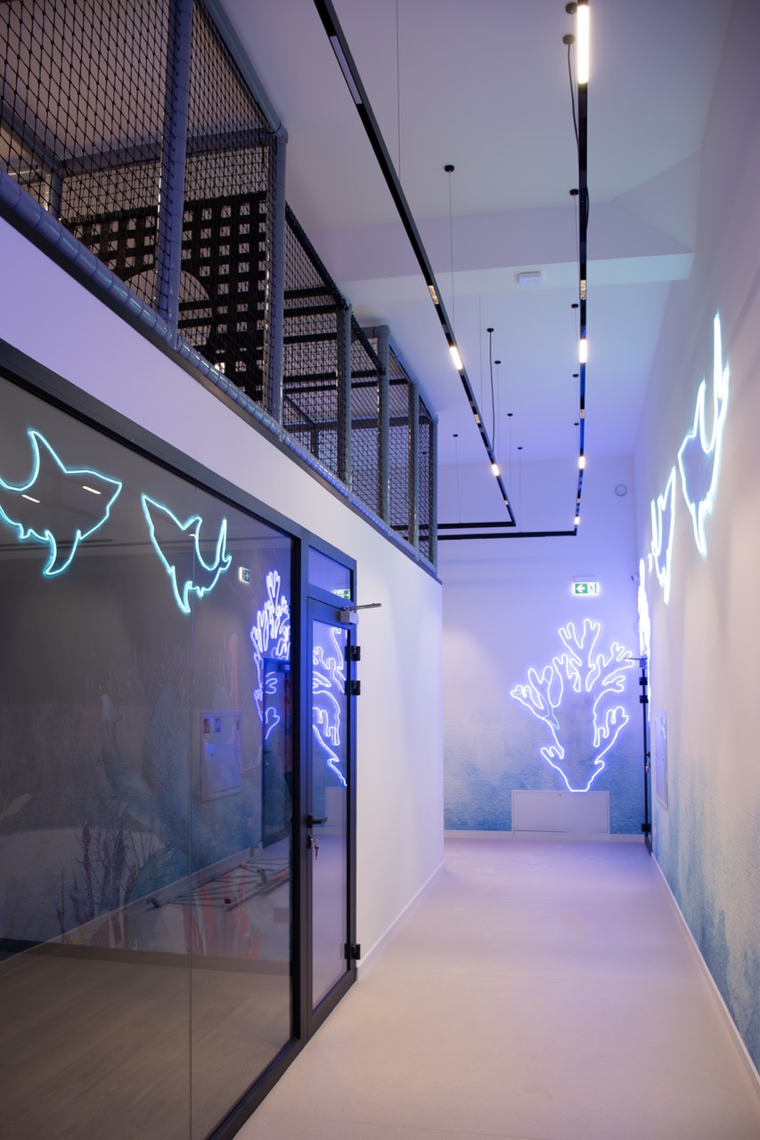 Przedszkole zdjęcie